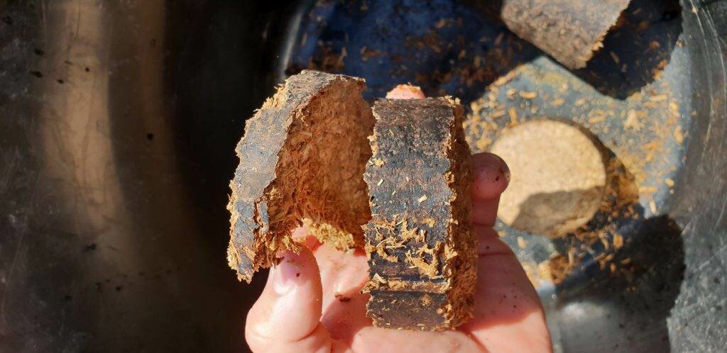 Hardwood Fuel Pellets In The UK. Where are they? | Archer’s Mushrooms | Gourmet Mushrooms | UK Hardwood Fuel Pellets