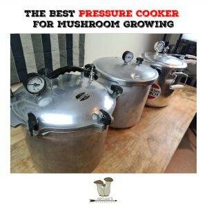 The Best Mushroom Growing Pressure Cooker | The Best Pressure Cookers FOr Mushroom Growing | Top 4 Best Pressure Cookers for Mushroom Growing | Mushroom Growing | Mushroom Blogs | Mushroom Growing | Mushroom Tips | Mushroom Business