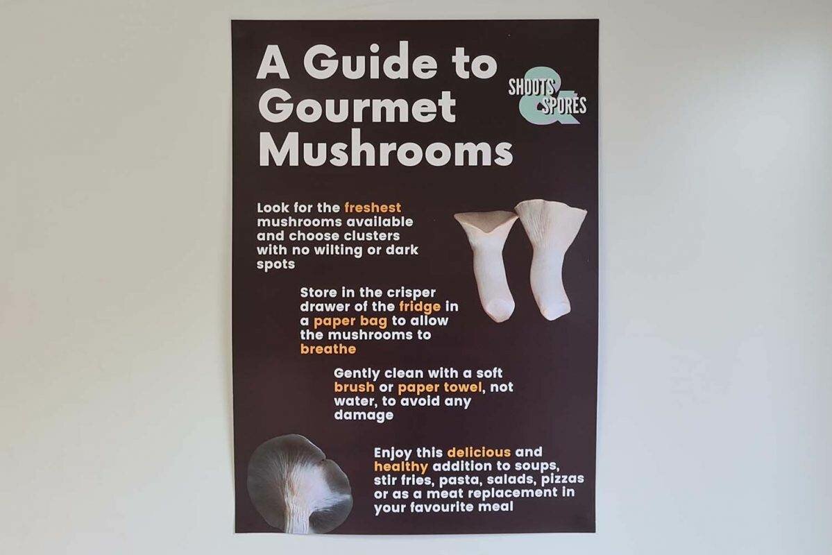 Shoots & Spores Mushroom Shop And Farm | Mushroom Growing | Mushroom Tips | Mushroom Business